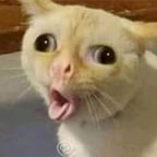 Narrador de Cuentos Clásicos