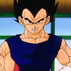 Vegeta San 