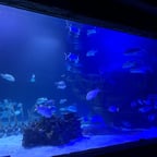 Dr. Sarcasmundo Casas