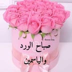 صوت عربي واضح