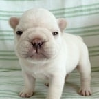 Playful Casual Voice