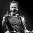 Sting