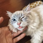 Clear Scientific Narrator