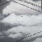 Clear Informative Female