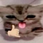 Voz Latina Enérgica