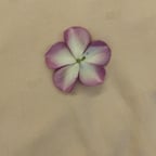 Dynamic Action Voice