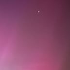 Clear Professional Narrator 