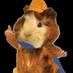 Linny The Guinea Pig (Wonder Pets)