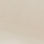 Voz Alegre Portuguesa