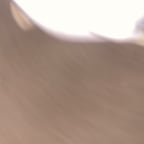 كاظم الساهر