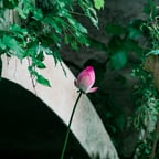 情感语录男2温柔