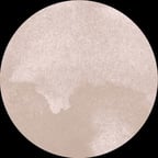 Confident Female Speaker