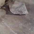 صوت قارئ عميق