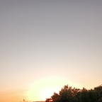 صوت الرجل الذكي