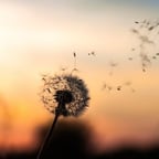 0414 建议不要剧烈运动