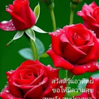 เสียงร้องชายอบอุ่น