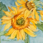 Duidelijke Nederlandse Stem