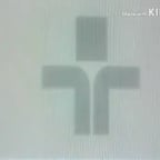 FÓRMULA 1 95 (GLOBO) (1995)