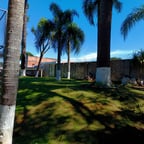 Consultor Imobiliário