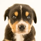 Calm Inspiring Voice