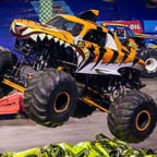 tiger shark (hot wheels monster trucks)