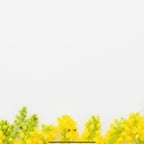 明るい女性ナレーター