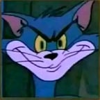 الراوي العربي الواضح