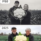 حسين الجاسمي