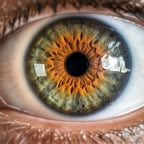 Voz Amigable y Clara