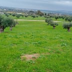 Voz Femenina Dramática