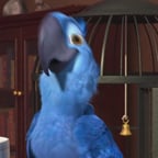 BLU_RIO 1 Y 2 DE FOX