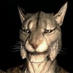Male Khajiit ( THE ELDER SCROLLS SKYRIIM )