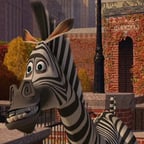 Marty español Latino