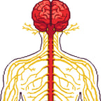 راوي صحي عربي