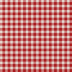 Playful Young Storyteller