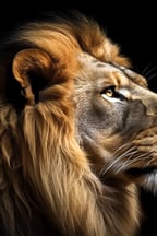 Voix Masculine Profonde