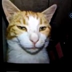 Engaging Storyteller