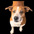 Dynamic Young Female