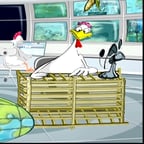 اعلان القاهرة والناس