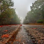 Энергичный Голос Вени