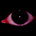 your'e dead (analog horror)