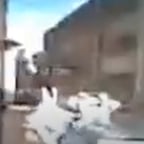 объелся колбасы сталкер школьник 