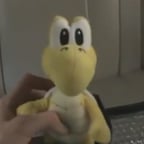 koopa. From Themariodimension