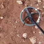 Narratore Pensieroso