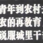 黑白老电影独白