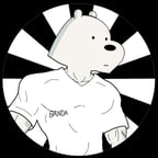 الدب القطبي 