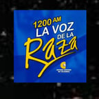 VOZ CANAL INSTITUCIONAL 2025