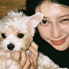 周文强爆款主持人