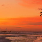 Energetic Young Female