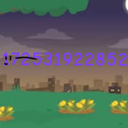 Wonderland - 172531922852